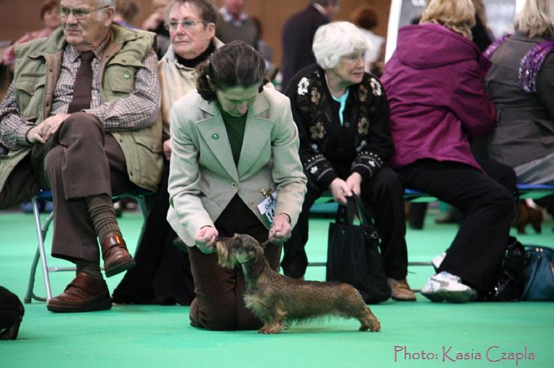 Crufts2011_2 1289.jpg